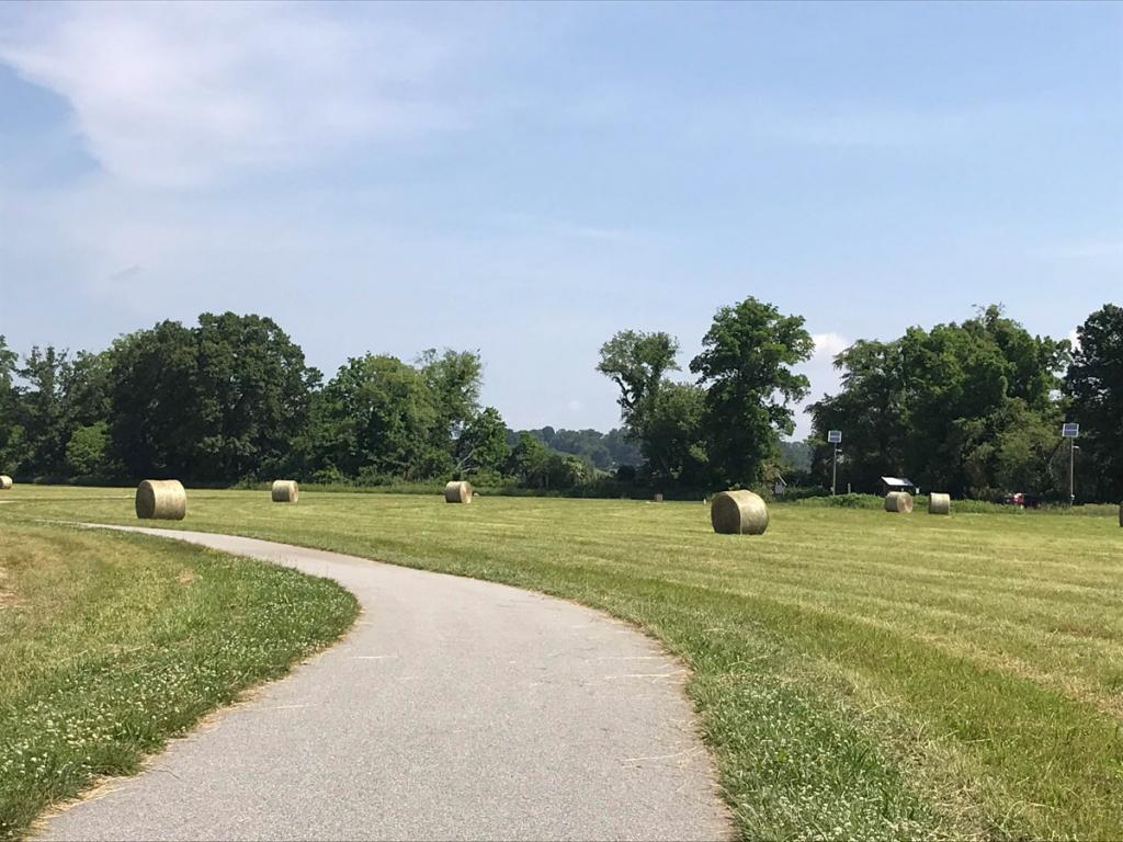 Mills River Park | Kids in Parks
